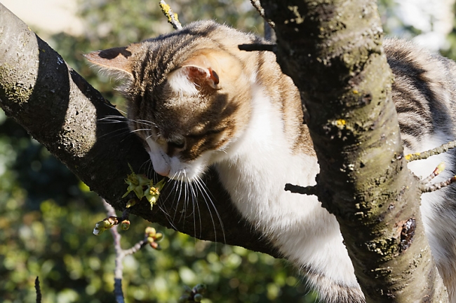 Famille et amis-MAR16-070